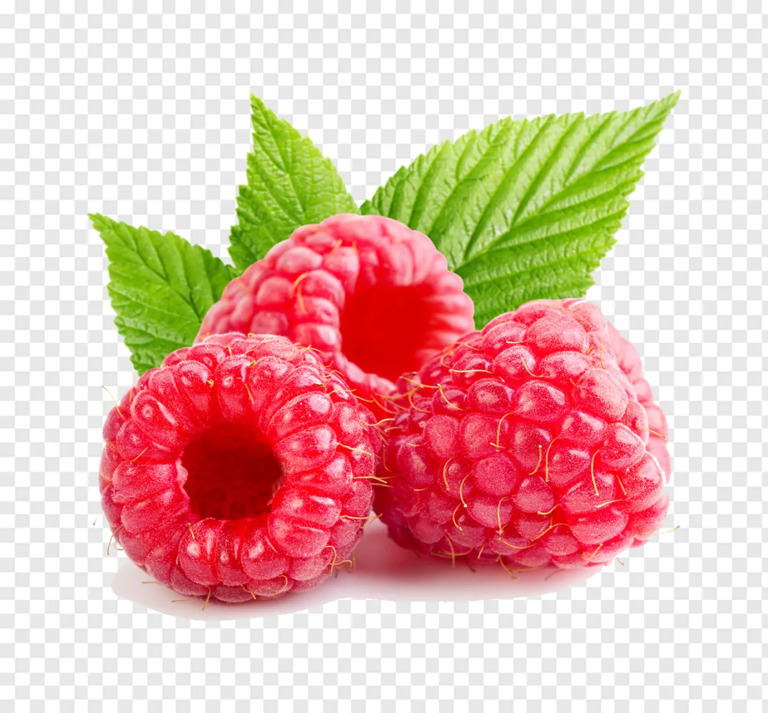 Raspberry Fruit