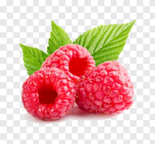 Raspberry Fruit