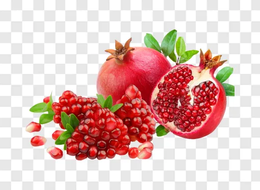 Professional Pomegranate Fruit Shooting