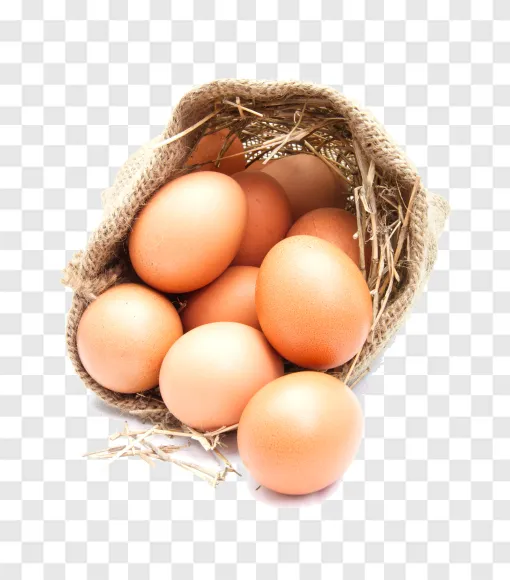 Chicken Eggs In A Sack