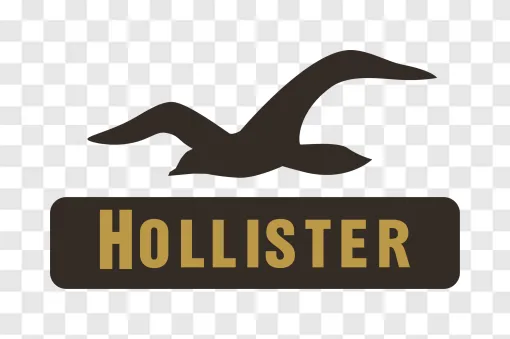 Hollister Logo