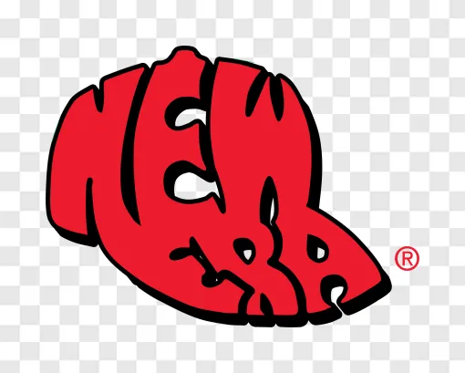 New Era Logo