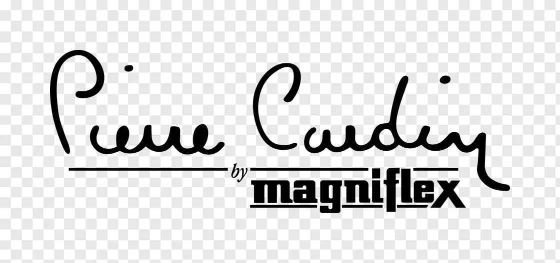 Pierre Cardin Logo