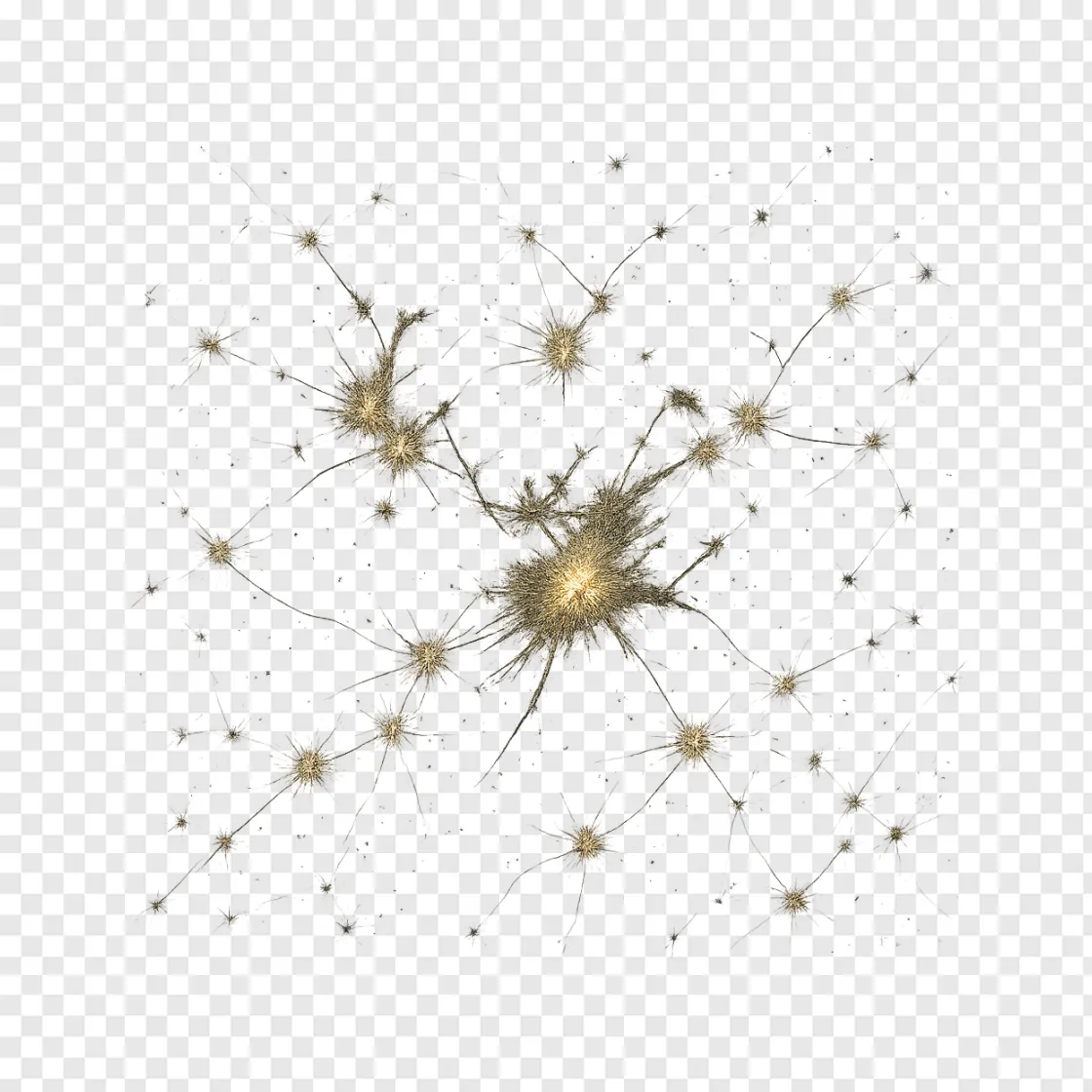 DESI Universe Map PNG Graphic