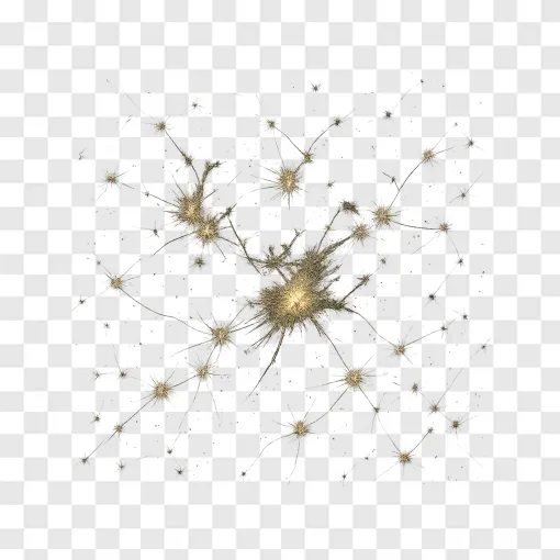 DESI Universe Map PNG Graphic