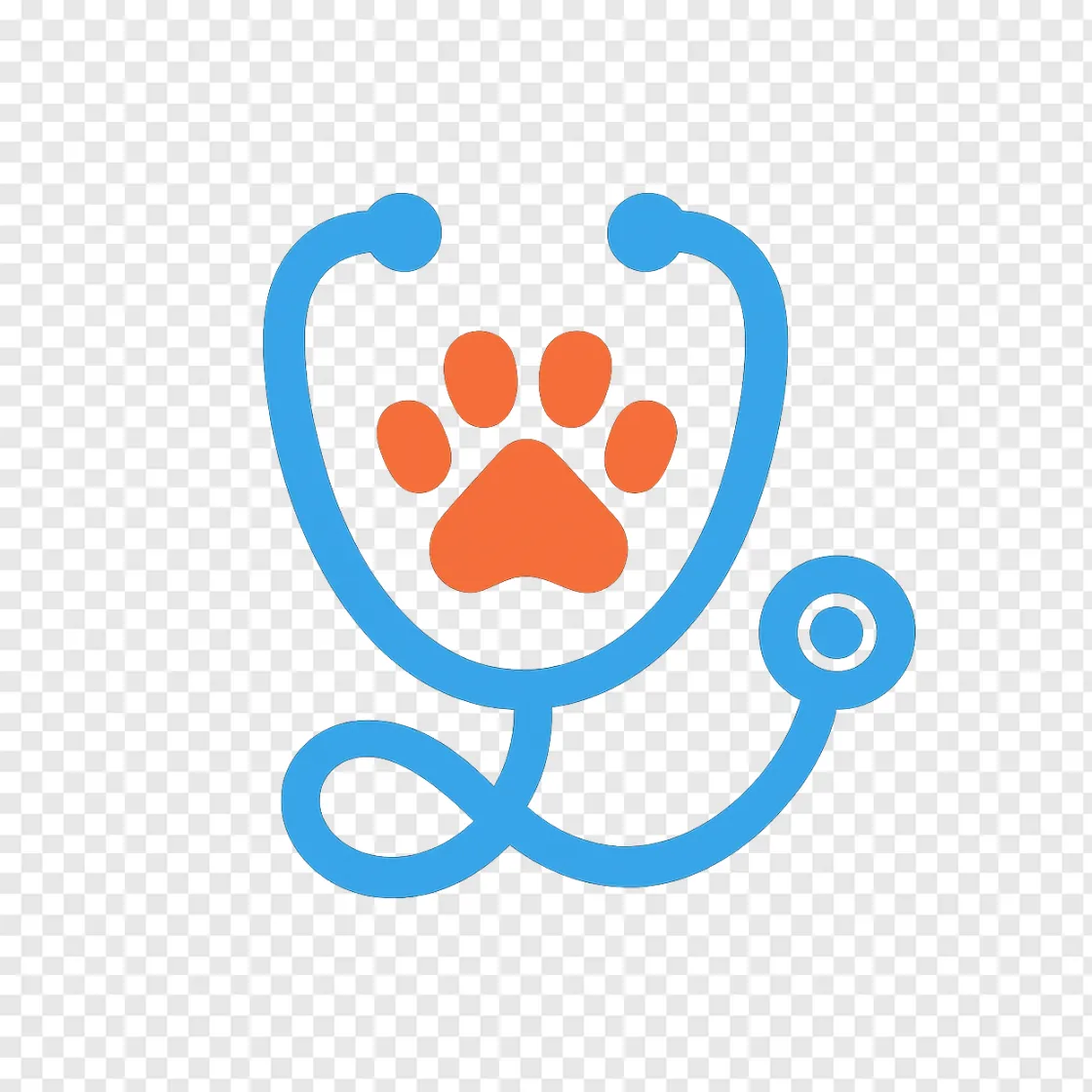 Veterinary Stethoscope PNG Image For Animal Clinic Designs