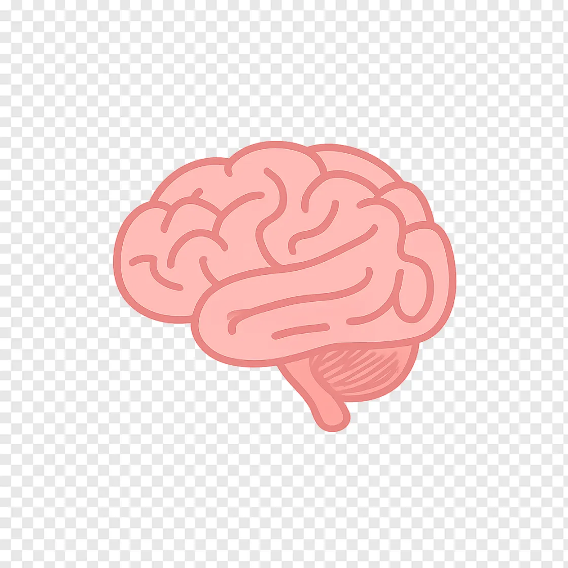 Brain Health PNG Concept For Medical And Wellness Designs