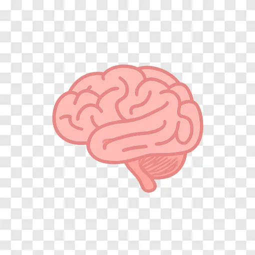 Brain Health PNG Concept For Medical And Wellness Designs