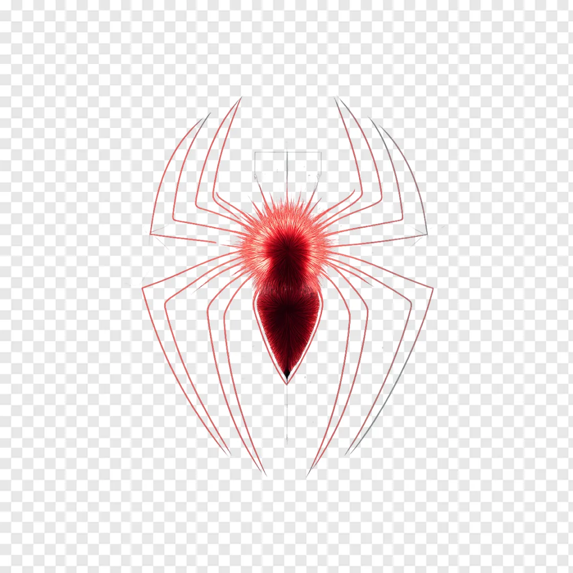 Spider-Man Logo PNG Transparent Background