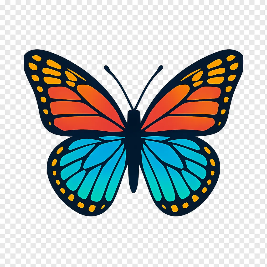 Colorful Butterfly PNG Transparent Image