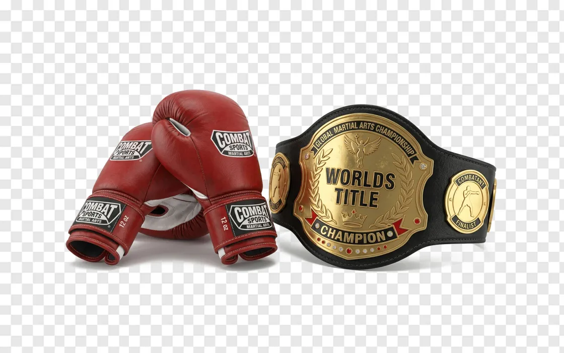 Combat Sports Fighting Gloves PNG Transparent Background