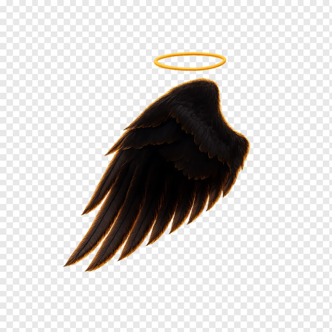 Fallen Angel Wings PNG Transparent Background