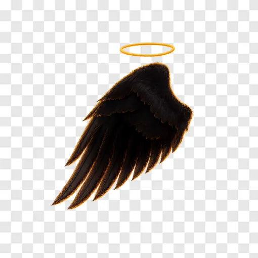 Fallen Angel Wings PNG Transparent Background