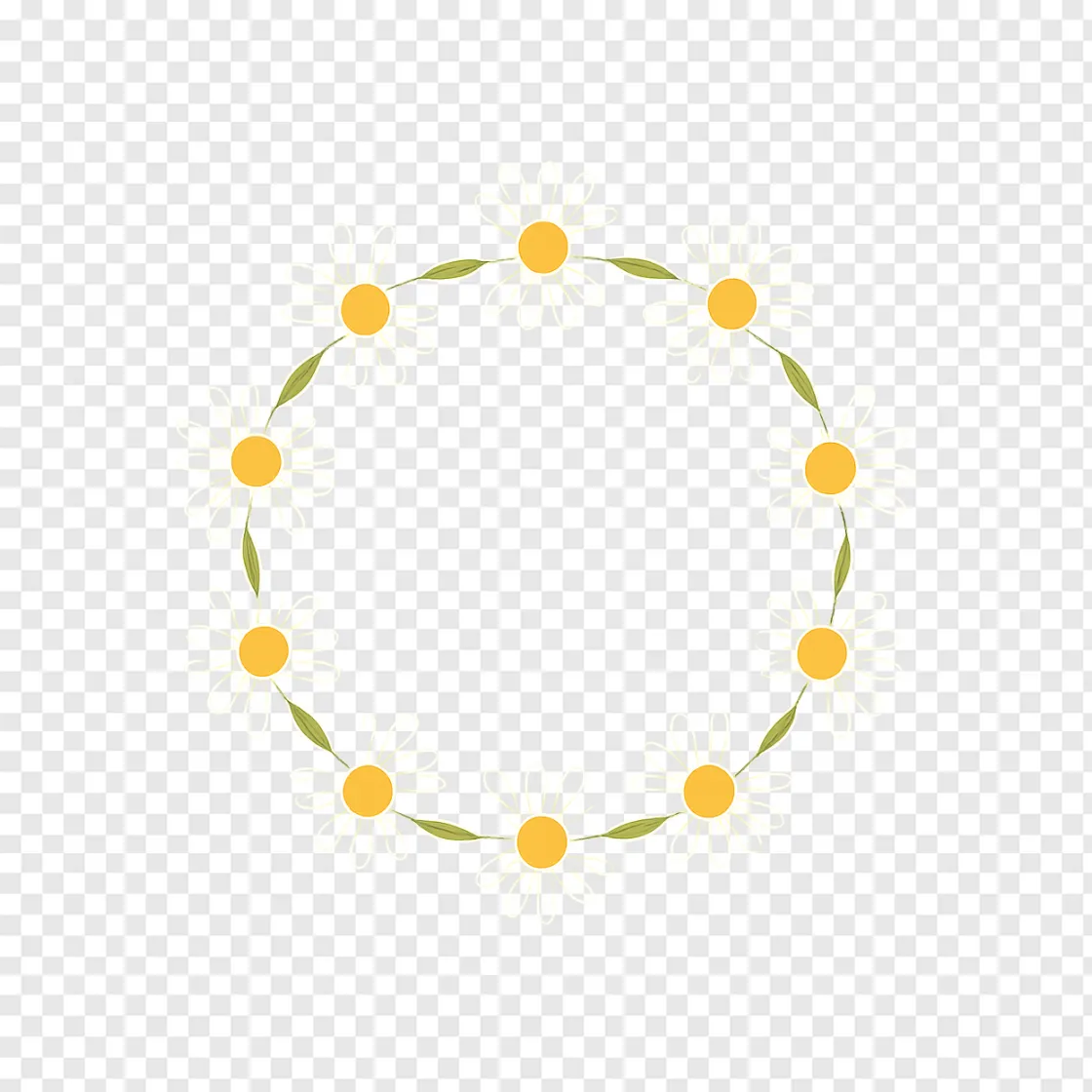 Daisy Chain PNG Transparent Background Image