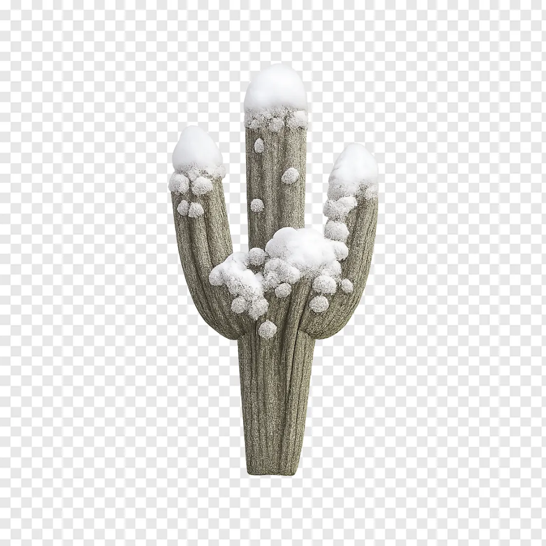 Snow In Desert PNG Element For Nature Designs