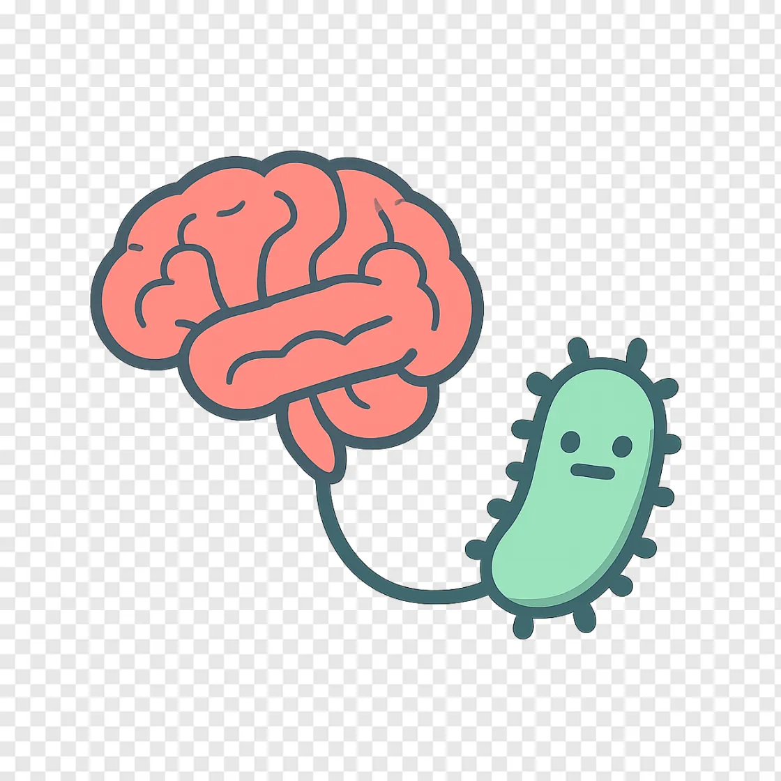Gut Brain Connection PNG Vector Graphic