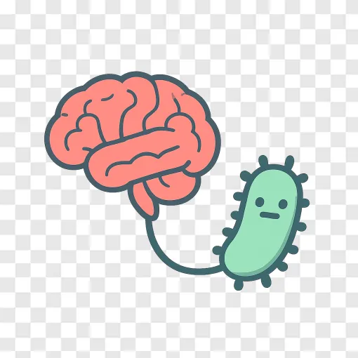 Gut Brain Connection PNG Vector Graphic