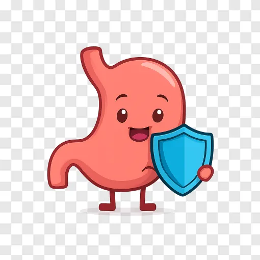 Healthy Gut Vector PNG For Medical And Wellness Designs