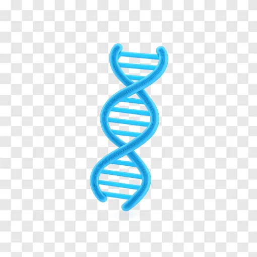 Extended Eight-Letter DNA Double Helix PNG