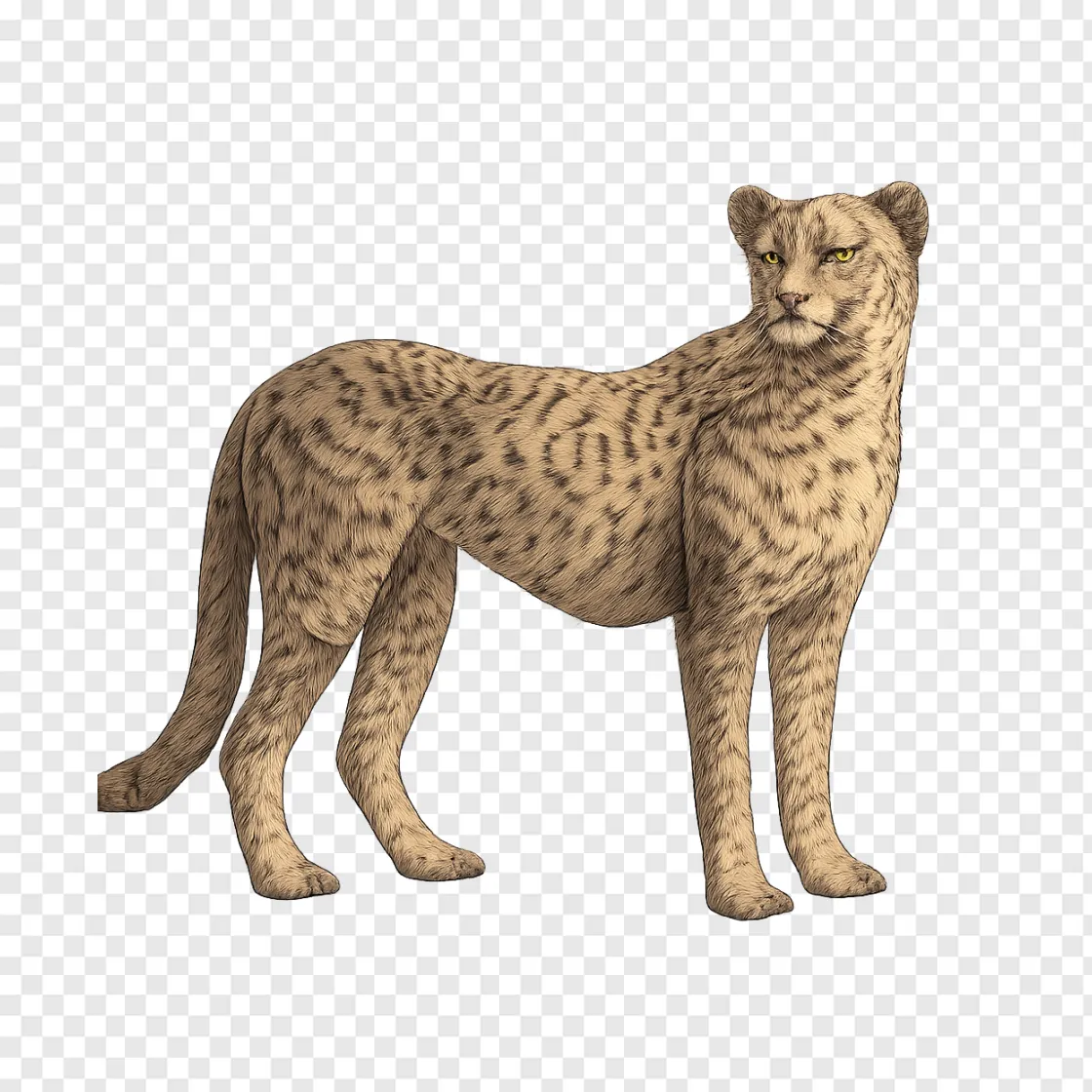 American Cheetah PNG: Extinct Big Cat Illustration
