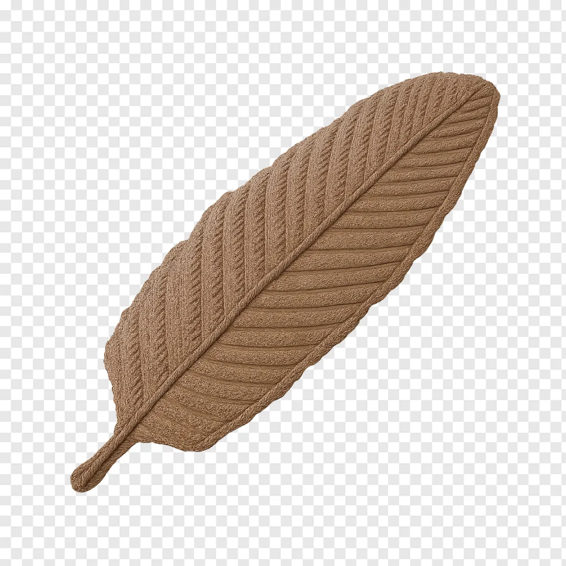 Fossilized Dinosaur Feather PNG Transparent Image