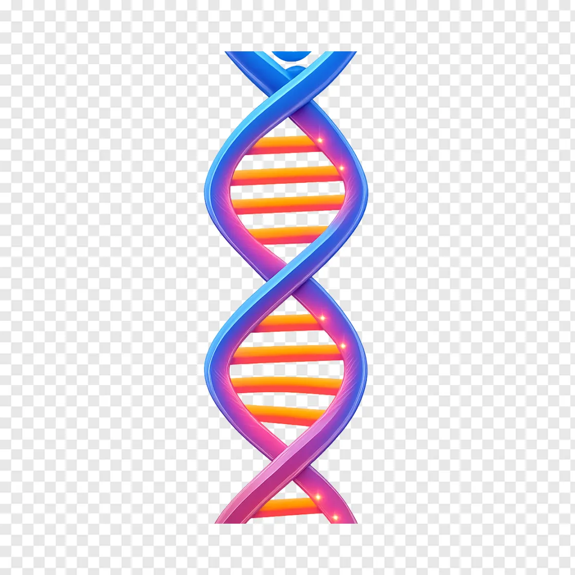 DNA Strand PNG Transparent Background