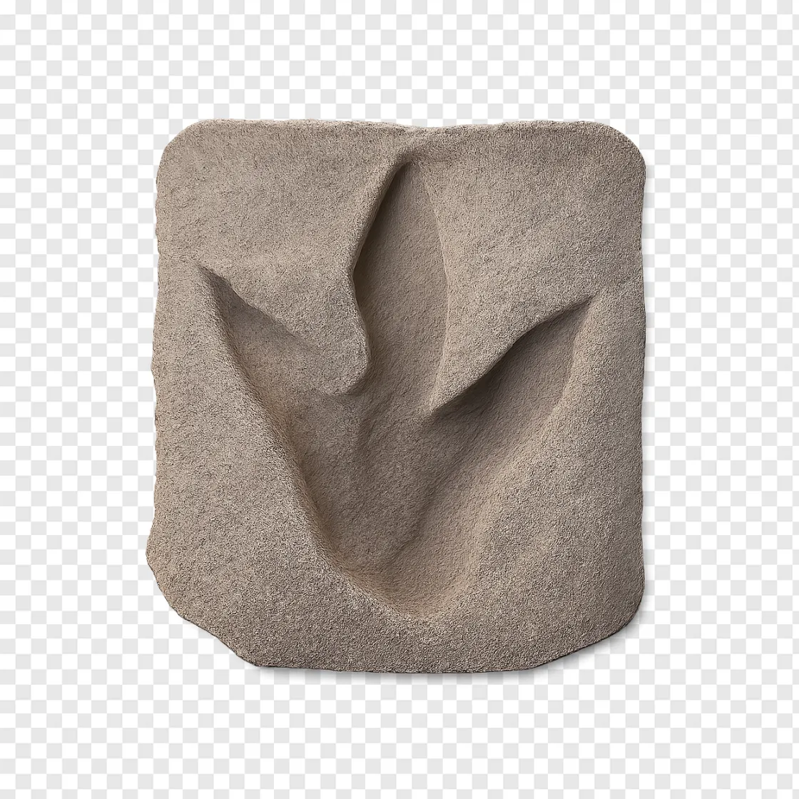 Dinosaur Footprint PNG Free Download