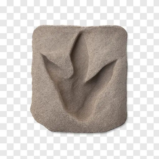 Dinosaur Footprint PNG Free Download