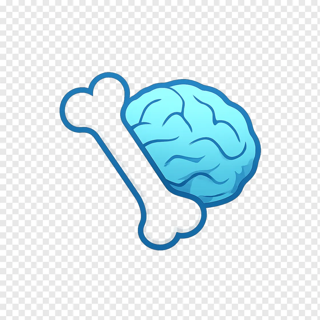 Bone Health And Brain Wellness Medical Icon PNG