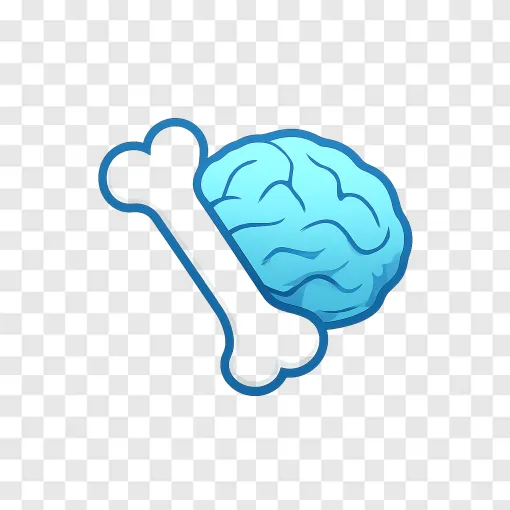 Bone Health And Brain Wellness Medical Icon PNG