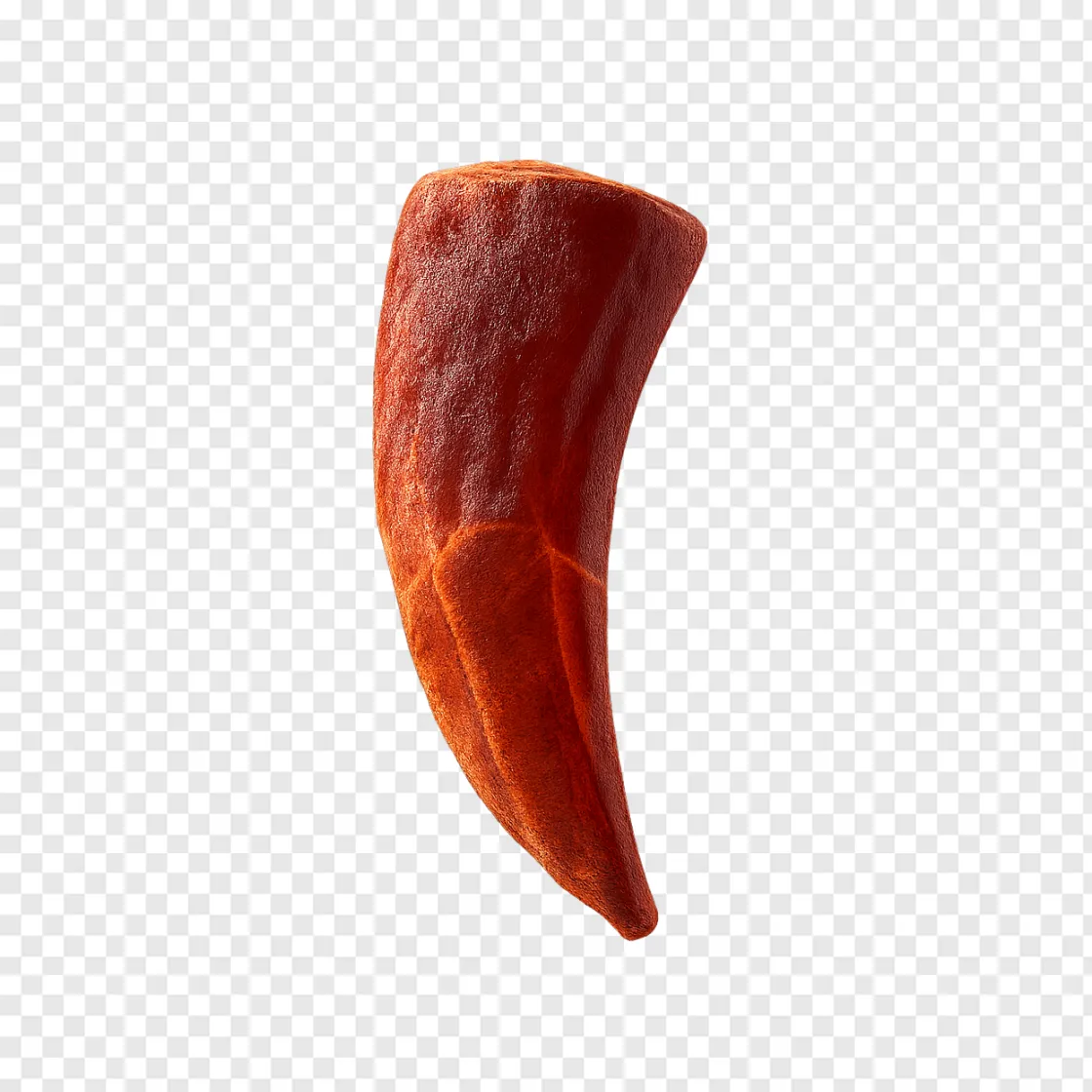 T-Rex Tooth PNG Image With Transparent Background