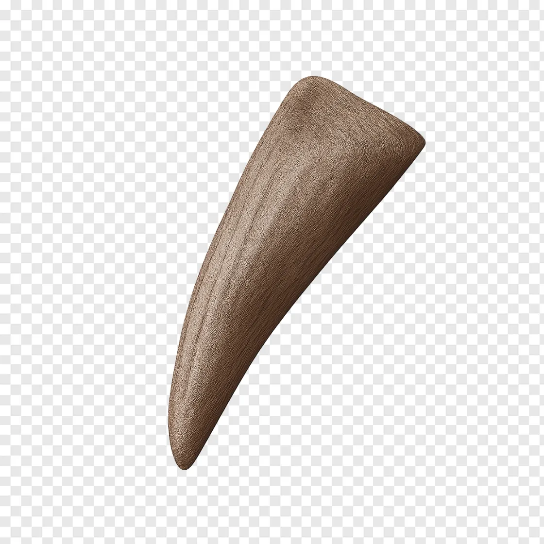 Realistic T. Rex Tooth PNG Image For Design