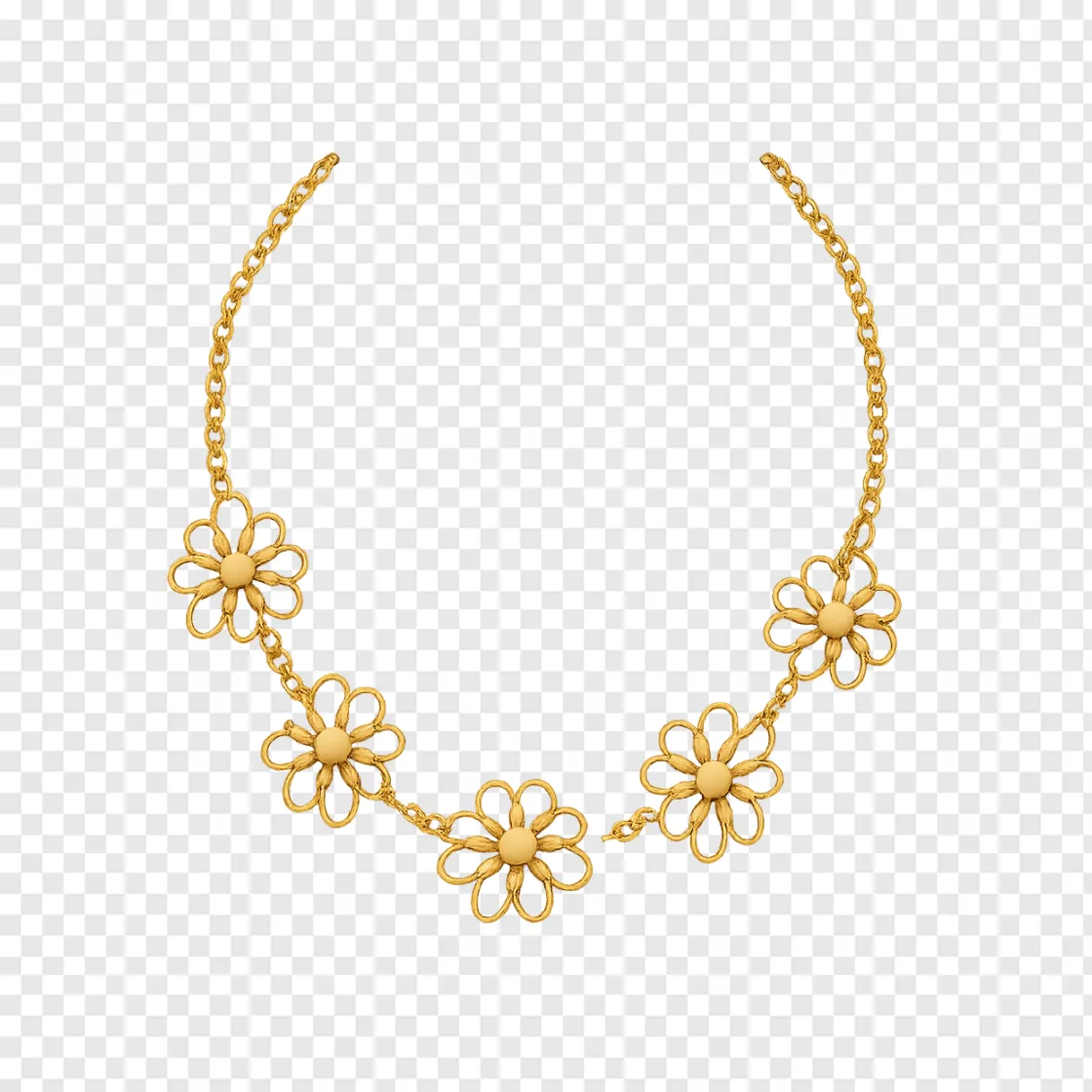Daisy Chain PNG Transparent Background