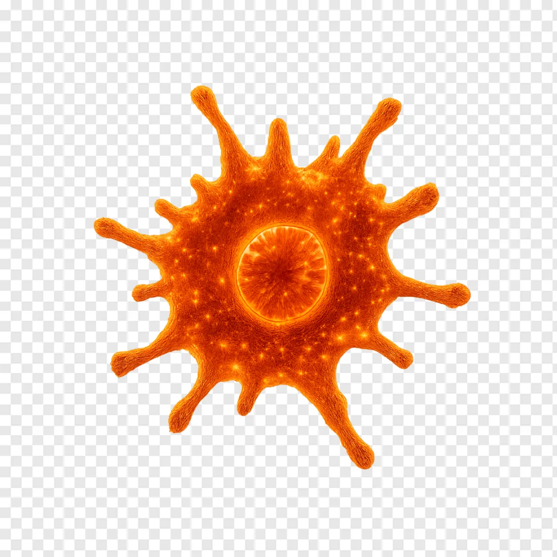 Fire Amoeba Cell Transparent PNG