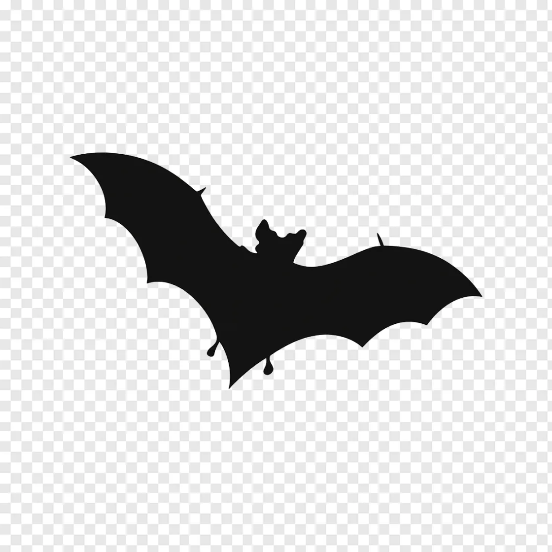 Flying Bat PNG Image For Free Download