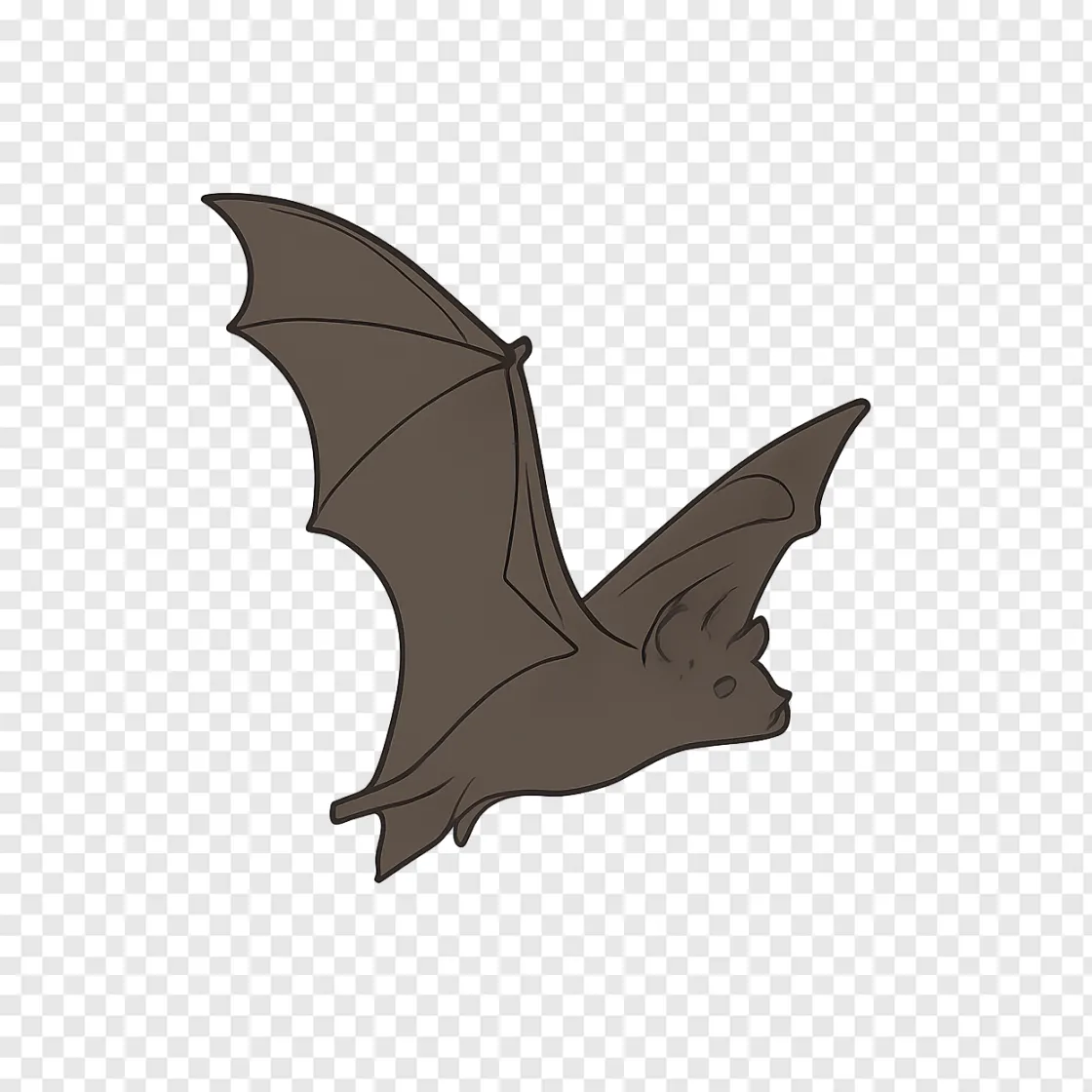 Bat PNG Transparent Image For Design