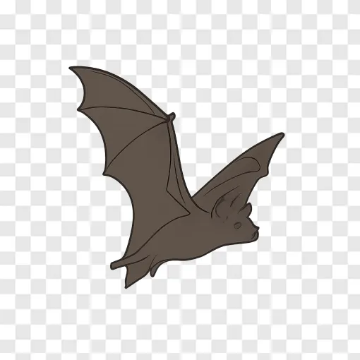 Bat PNG Transparent Image For Design