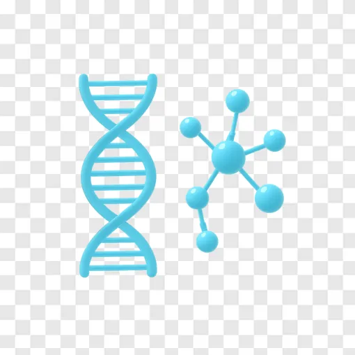 Origin Of Life DNA Molecule PNG Transparent Image