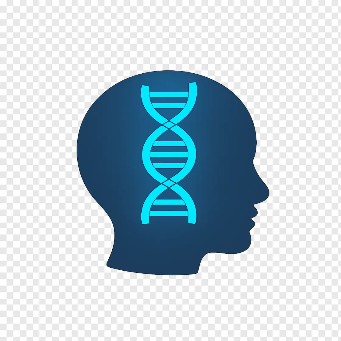Human Brain DNA Genetics PNG Transparent Image
