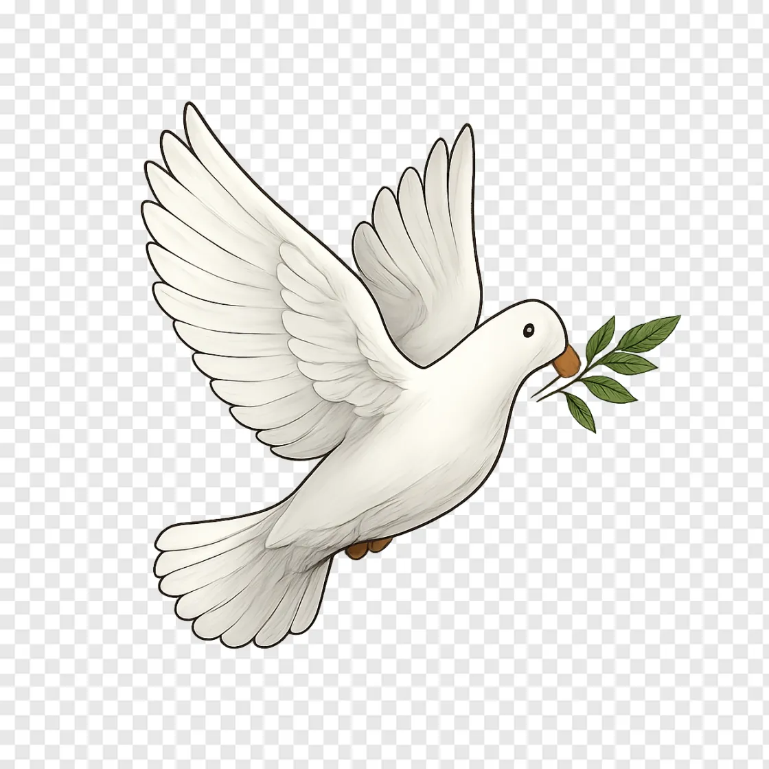 Peace Dove PNG Image With Transparent Background